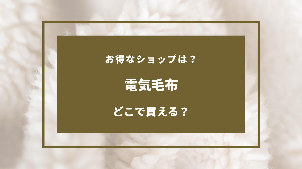 電気 毛布 どこで 買える