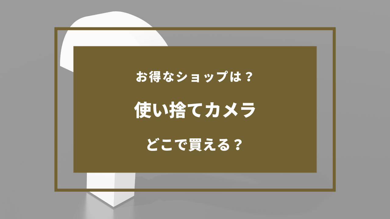 使い捨て カメラ 売っ てる 場所