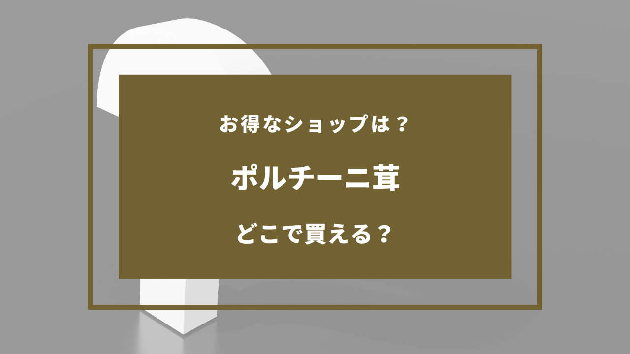 ポルチーニ 茸 どこで 買える